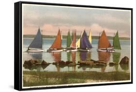 Rainbow Fleet, Nantucket, Massachusetts-null-Framed Stretched Canvas