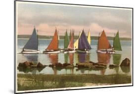 Rainbow Fleet, Nantucket, Massachusetts-null-Mounted Art Print