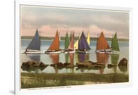 Rainbow Fleet, Nantucket, Massachusetts-null-Framed Art Print