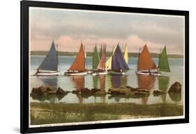 Rainbow Fleet, Nantucket, Massachusetts-null-Framed Art Print