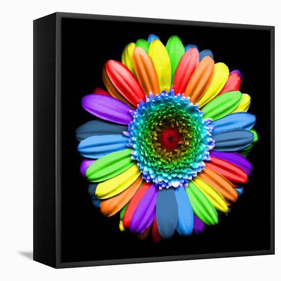 Rainbow Flower-Magda Indigo-Framed Stretched Canvas