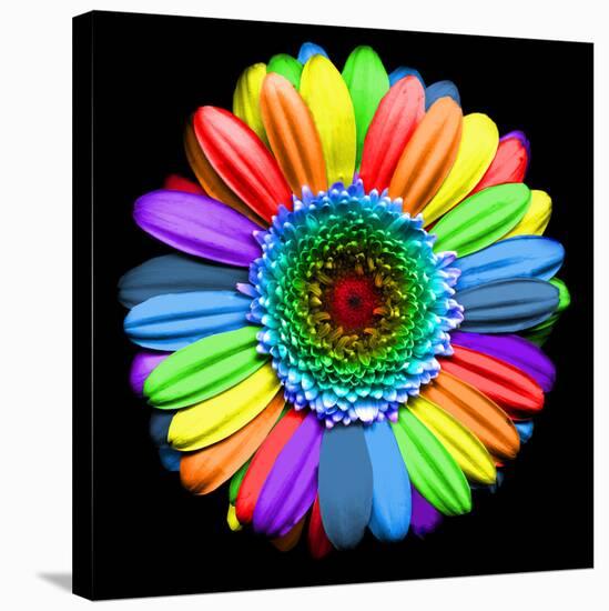 Rainbow Flower-Magda Indigo-Stretched Canvas