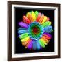 Rainbow Flower-Magda Indigo-Framed Photographic Print