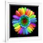 Rainbow Flower-Magda Indigo-Framed Photographic Print