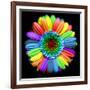 Rainbow Flower-Magda Indigo-Framed Photographic Print