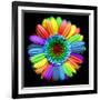 Rainbow Flower-Magda Indigo-Framed Photographic Print