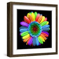 Rainbow Flower-Magda Indigo-Framed Premium Photographic Print
