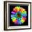 Rainbow Flower-Magda Indigo-Framed Premium Photographic Print