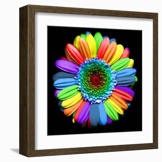 Rainbow Flower-Magda Indigo-Framed Premium Photographic Print