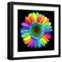 Rainbow Flower-Magda Indigo-Framed Premium Photographic Print