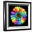 Rainbow Flower-Magda Indigo-Framed Premium Photographic Print