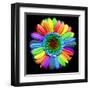 Rainbow Flower-Magda Indigo-Framed Premium Photographic Print