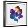 Rainbow Flower-Paulo Romero-Framed Art Print