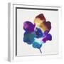 Rainbow Flower-Paulo Romero-Framed Art Print