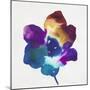 Rainbow Flower-Paulo Romero-Mounted Art Print