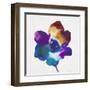 Rainbow Flower-Paulo Romero-Framed Art Print