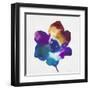 Rainbow Flower-Paulo Romero-Framed Art Print