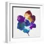 Rainbow Flower-Paulo Romero-Framed Art Print