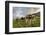 Rainbow Frames a Herd of Cows Grazing in the Green Pastures of Campagneda Alp, Valtellina, Italy-Roberto Moiola-Framed Photographic Print