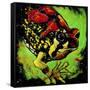 Rainbow Frog-null-Framed Stretched Canvas