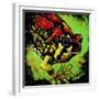 Rainbow Frog-null-Framed Premium Giclee Print