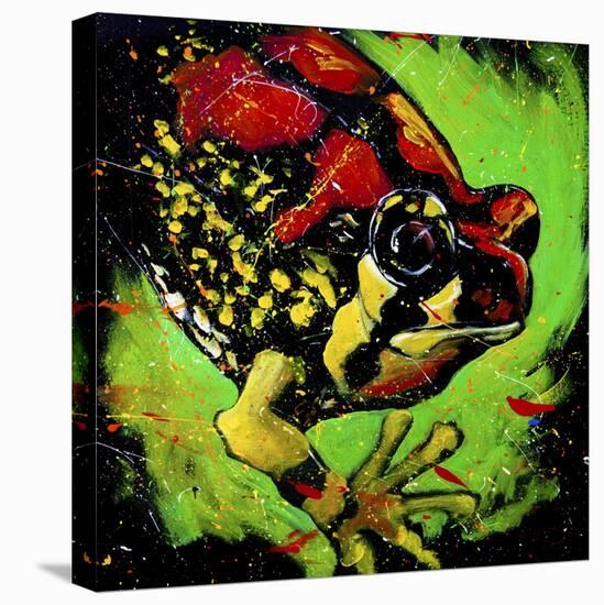 Rainbow Frog-null-Stretched Canvas