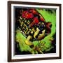 Rainbow Frog-null-Framed Art Print