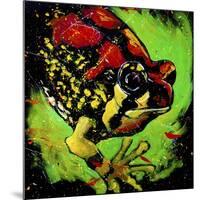 Rainbow Frog-null-Mounted Art Print