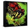 Rainbow Frog-null-Framed Stretched Canvas