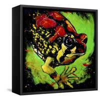 Rainbow Frog-null-Framed Stretched Canvas