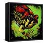 Rainbow Frog-null-Framed Stretched Canvas