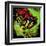 Rainbow Frog-null-Framed Art Print