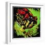 Rainbow Frog-null-Framed Art Print