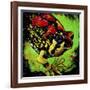 Rainbow Frog-null-Framed Art Print