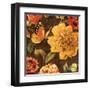 Rainbow Garden II-Lisa Audit-Framed Art Print