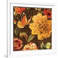 Rainbow Garden II-Lisa Audit-Framed Art Print