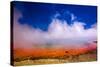 Rainbow Geyser, Rotorua, North Island, New Zealand, Pacific-Laura Grier-Stretched Canvas