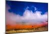 Rainbow Geyser, Rotorua, North Island, New Zealand, Pacific-Laura Grier-Mounted Photographic Print