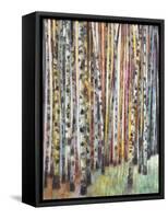 Rainbow Grove 1-Norman Wyatt Jr.-Framed Stretched Canvas