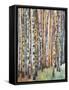 Rainbow Grove 1-Norman Wyatt Jr.-Framed Stretched Canvas