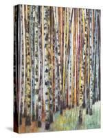 Rainbow Grove 1-Norman Wyatt Jr.-Stretched Canvas