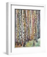 Rainbow Grove 1-Norman Wyatt Jr.-Framed Art Print