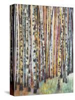 Rainbow Grove 1-Norman Wyatt Jr.-Stretched Canvas