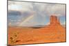 Rainbow in Monument Valley-snoofek-Mounted Photographic Print