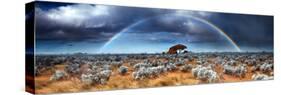 Rainbow in the Australian Desert-kwest19-Stretched Canvas
