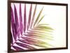 Rainbow Leaf-Donnie Quillen-Framed Art Print