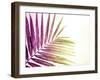 Rainbow Leaf-Donnie Quillen-Framed Art Print