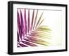 Rainbow Leaf-Donnie Quillen-Framed Art Print