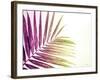 Rainbow Leaf-Donnie Quillen-Framed Art Print