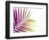 Rainbow Leaf-Donnie Quillen-Framed Art Print